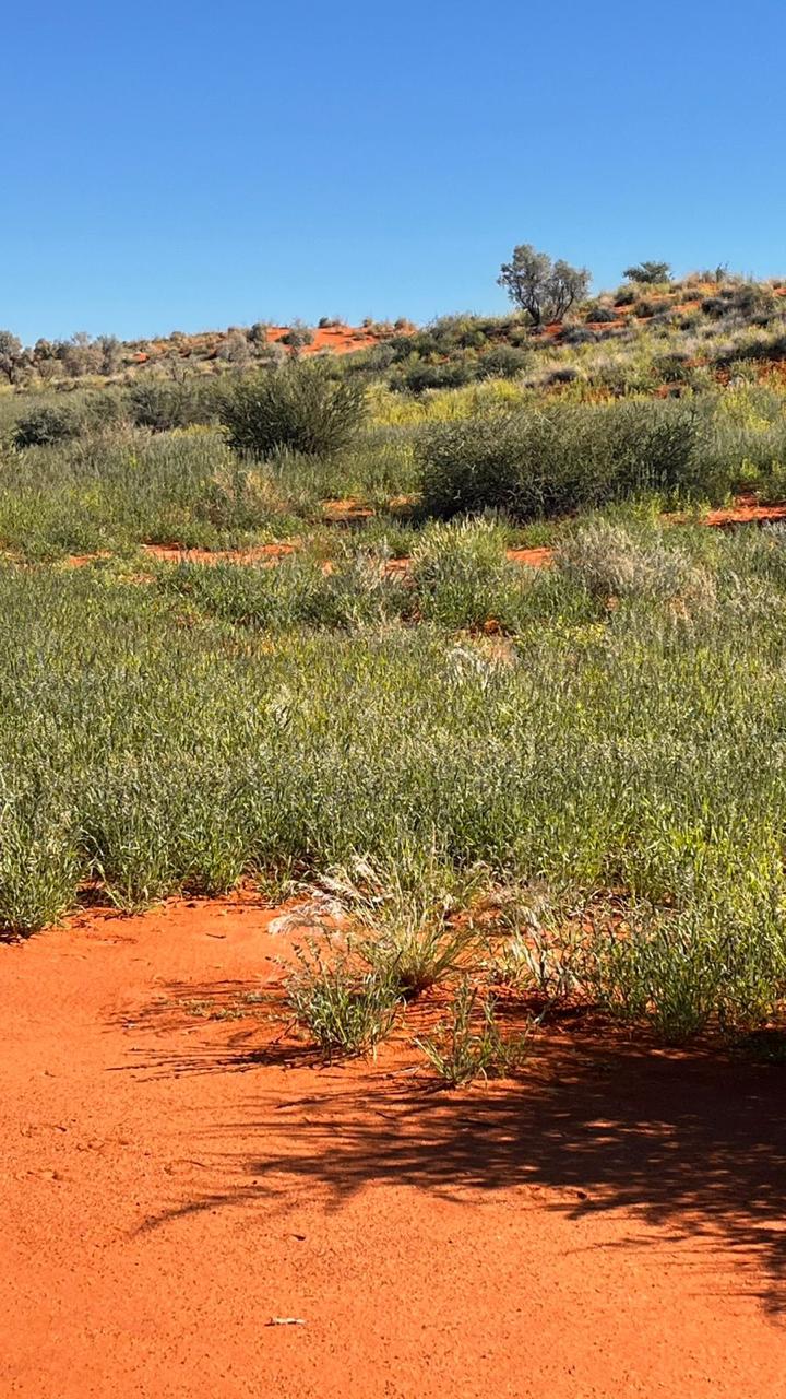 3 Bedroom Property for Sale in Upington Rural Northern Cape